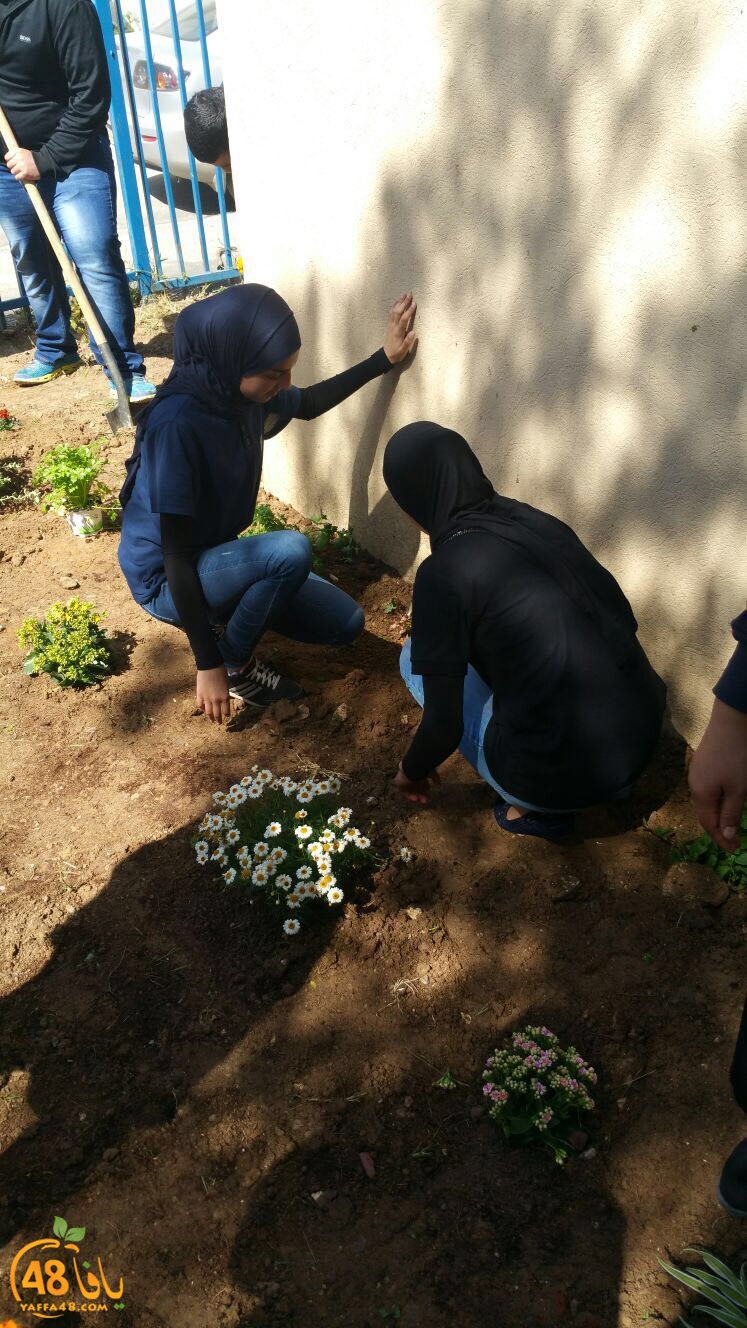 tomashin lduaj (8).jpg